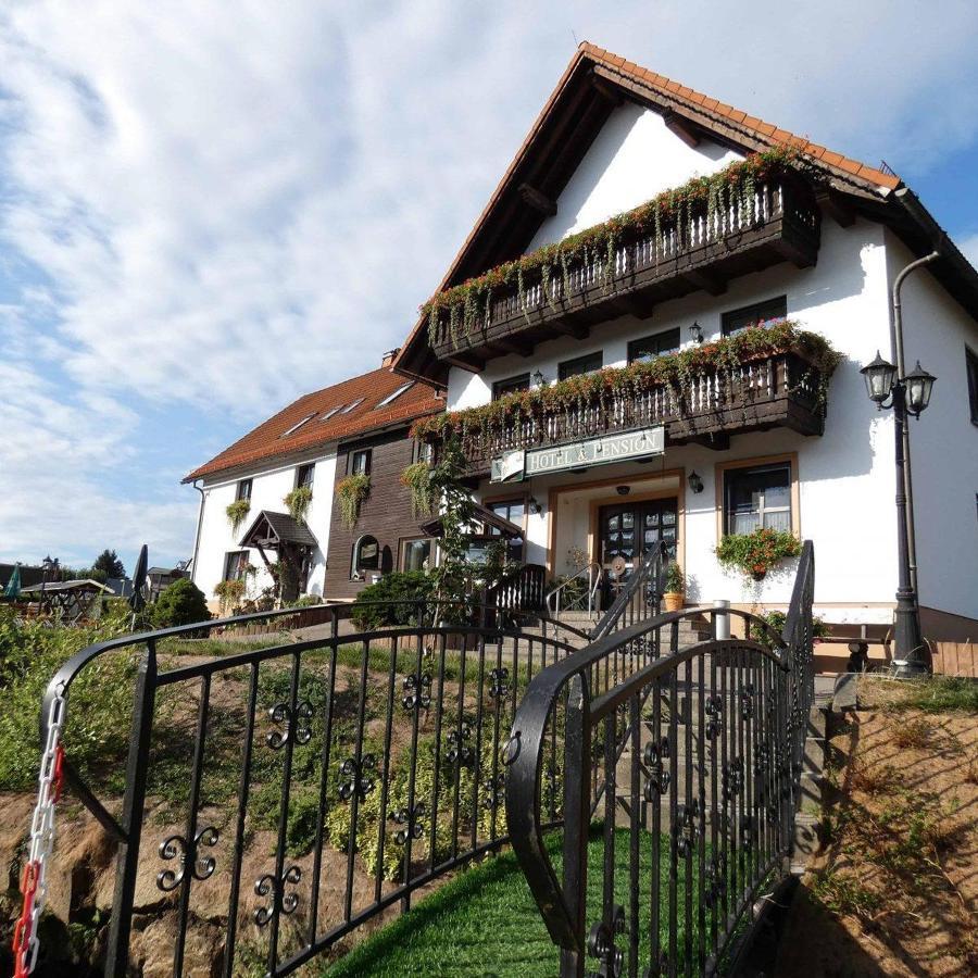 Hotel-Pension Flechsig Hartmannsdorf bei Kirchberg Екстериор снимка