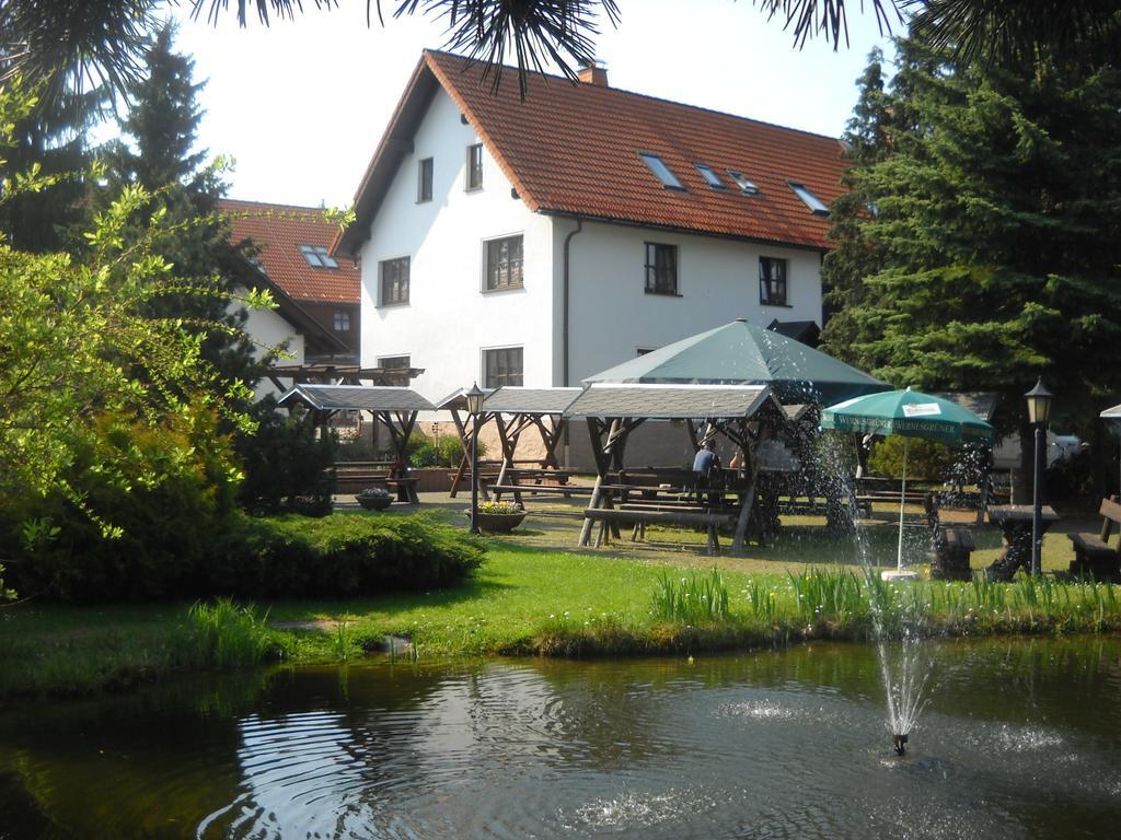 Hotel-Pension Flechsig Hartmannsdorf bei Kirchberg Екстериор снимка